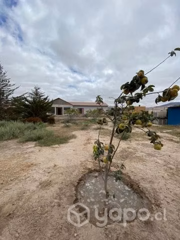 Vendo parcela de 5000m2 Copiapó - Imagen 17