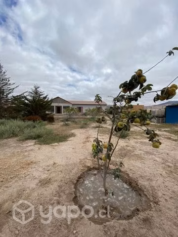 Vendo parcela de 5000m2 Copiapó - Imagen 20