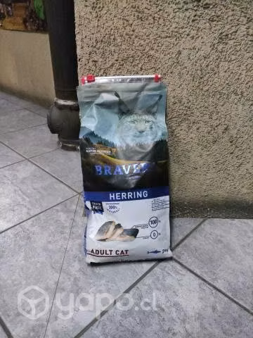 Oferta en Alimento Gato Bravery Adult Herring
