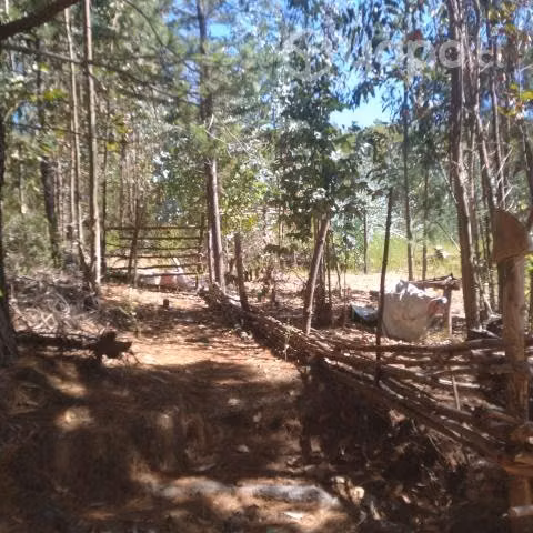 Hermoso terreno Pelluhue 5000 m2 rol propio