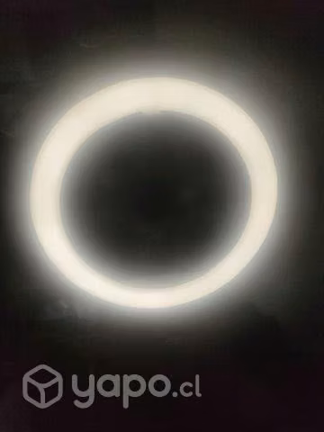 Aro de luz de 22