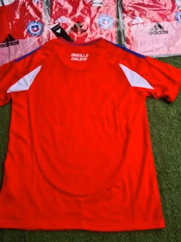 Conjunto Infantil Seleccion Chilena 2024/25