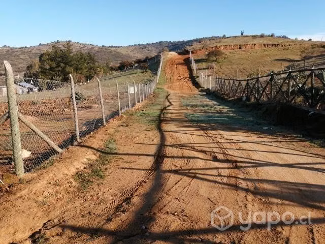 Mi terreno de 5 mil mts2 con empalme de luz - Imagen 4