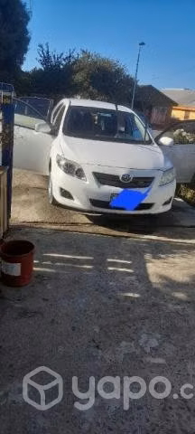 Vendo mi regalon