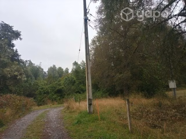 Predio de 3.17 ha. con bosque nativo y rio
