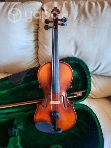 Violín