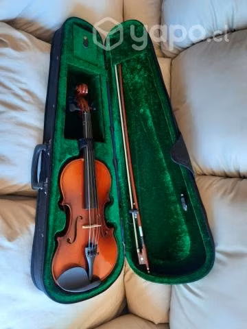 Violín