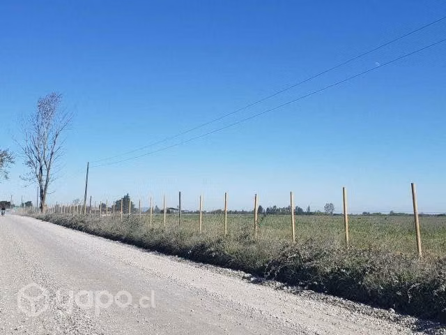 Parcelas en Parral de 5000 m2 - Imagen 3