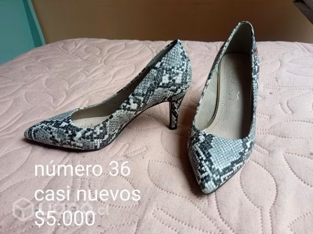 Zapatos taco
