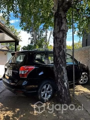 Subaru forester 2013