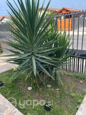 Arriendo casa Padre Hurtado
