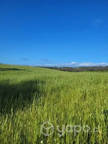 Parcelas