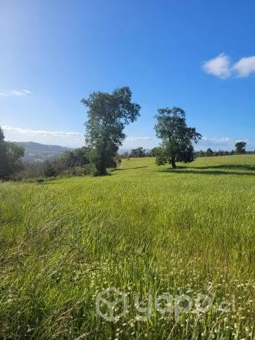 Parcelas