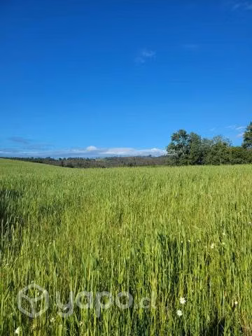 Parcelas