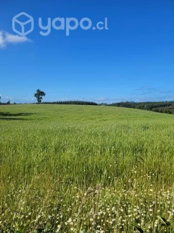 Parcelas