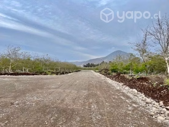 Venta Parcela 5.000m2, Lonquen comuna Talagante