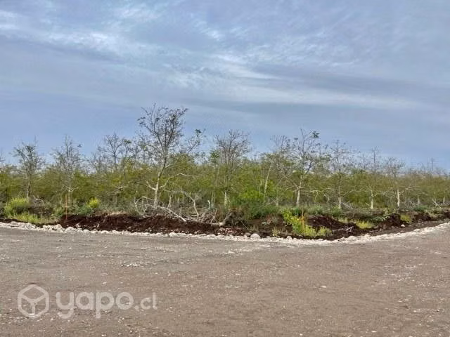 Venta Parcela 5.000m2, Lonquen comuna Talagante