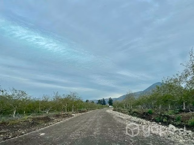 Venta Parcela 5.000m2, Lonquen comuna Talagante