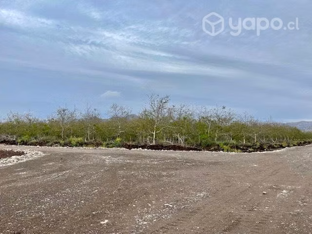 Venta Parcela 5.000m2, Lonquen comuna Talagante