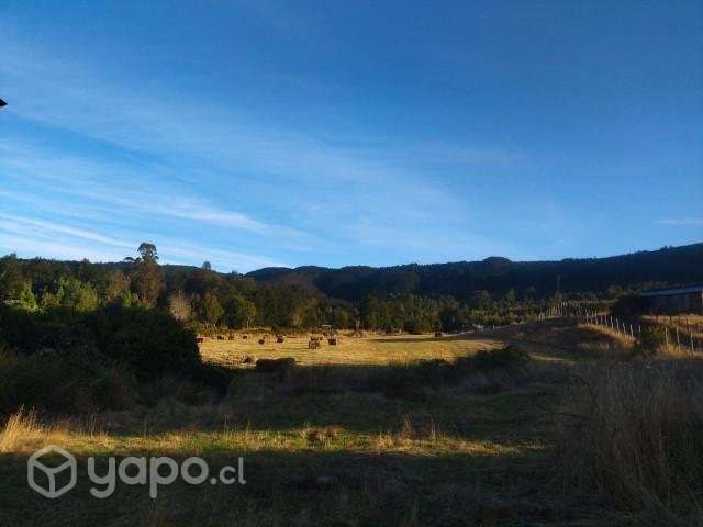 Terreno 8000 mt - Imagen 10