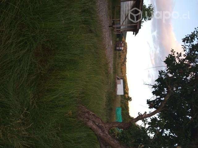 Terreno 8000 mt - Imagen 5