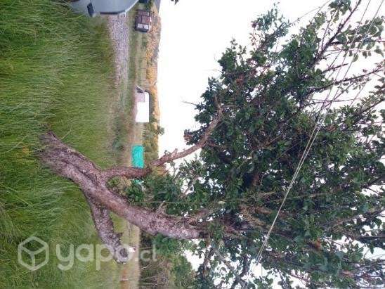 Terreno 8000 mt - Imagen 15