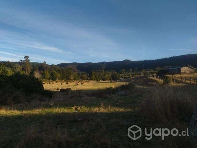 Terreno 8000 mt - Imagen 9