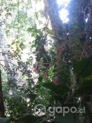 Terreno 8000 mt - Imagen 11