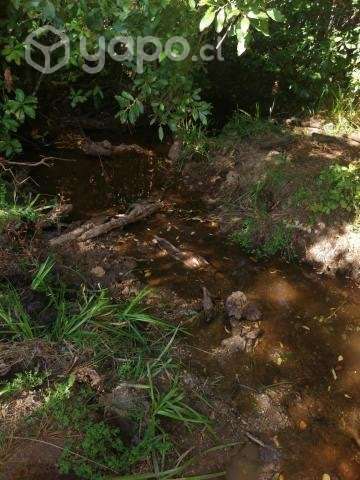 Terreno 8000 mt - Imagen 2