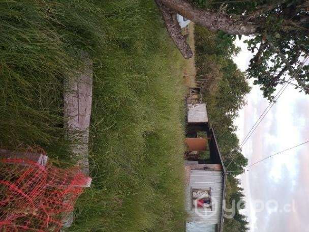 Terreno 8000 mt - Imagen 4