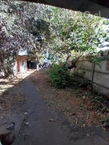 Imperdible Chillán - Imagen 4