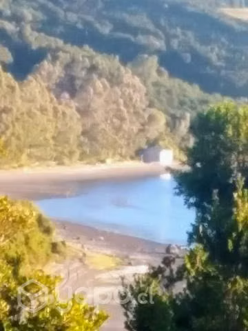 Media hectárea