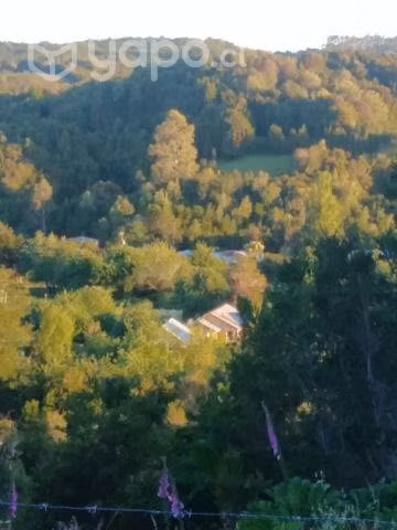 Media hectárea