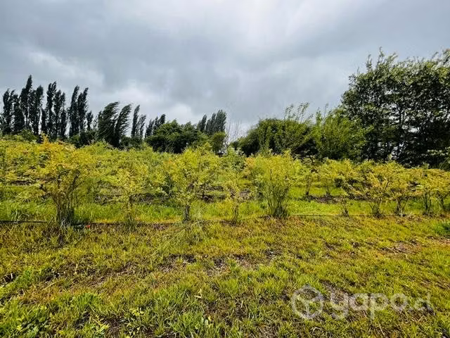 Parcela en venta