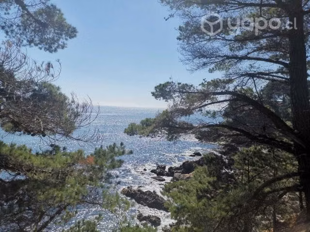 Vendo 1.900m2 de terreno vista al mar Coliumo - Imagen 2