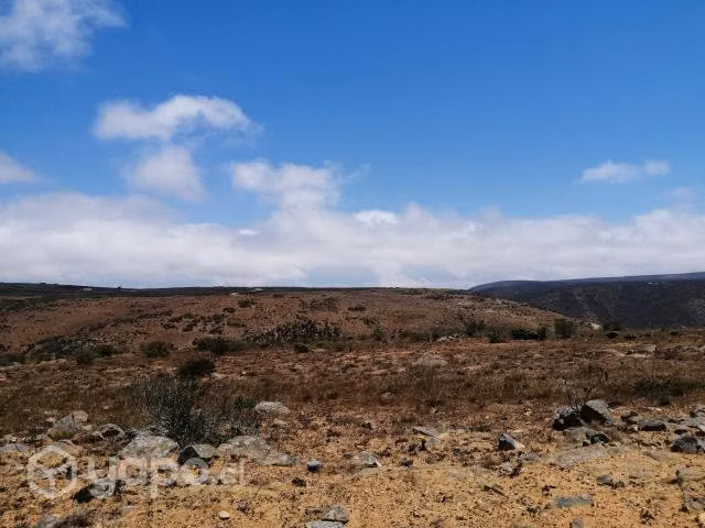 Parcela 5000 m2 Sector Talinay Bajo (