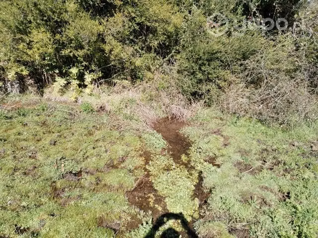 Parcela en las lomas de san clemente - Imagen 6