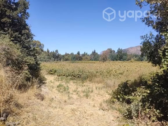 Se vende terreno en Querquel-Maule - Imagen 4