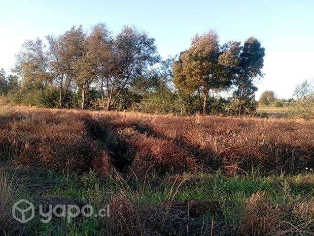 Terreno sector la aguada longavi