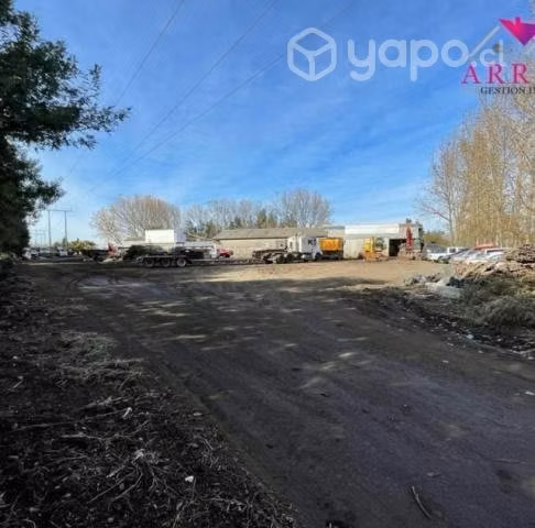Vende propia dueña