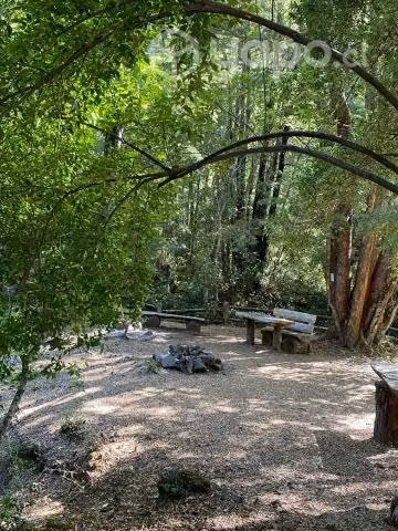 Vendo Parcela Cercana Parque Conguillio - Imagen 2