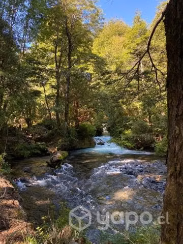 Vendo Parcela Cercana Parque Conguillio - Imagen 5