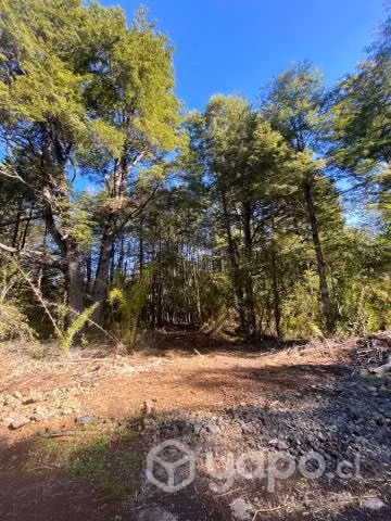 Vendo Parcela Cercana Parque Conguillio - Imagen 7