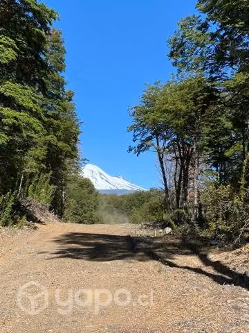 Vendo Parcela Cercana Parque Conguillio