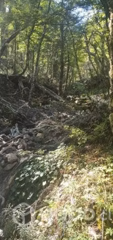 Se vende terreno de 54 hectareas en La Patagonia - Imagen 3