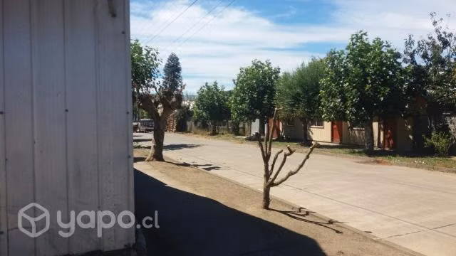 Se vende casa con terreno con árboles frutales