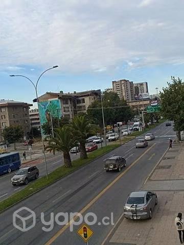 Arriendo oficina Av los carrera cuadra Paicavi - Imagen 3
