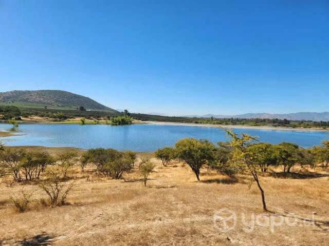 Fundo los olivos