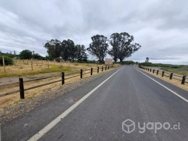 Venta de terreno de 5mil metros cuadrados planos - Imagen 9