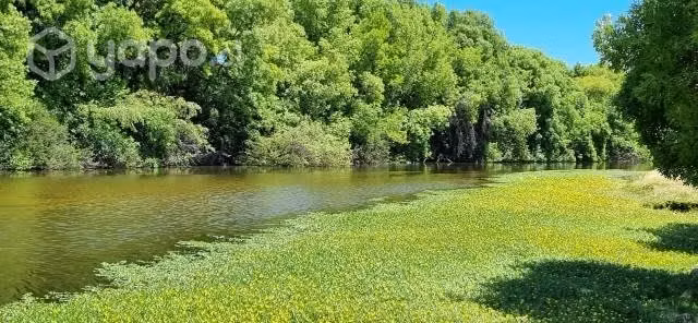 Venta de terreno de 5mil metros cuadrados planos